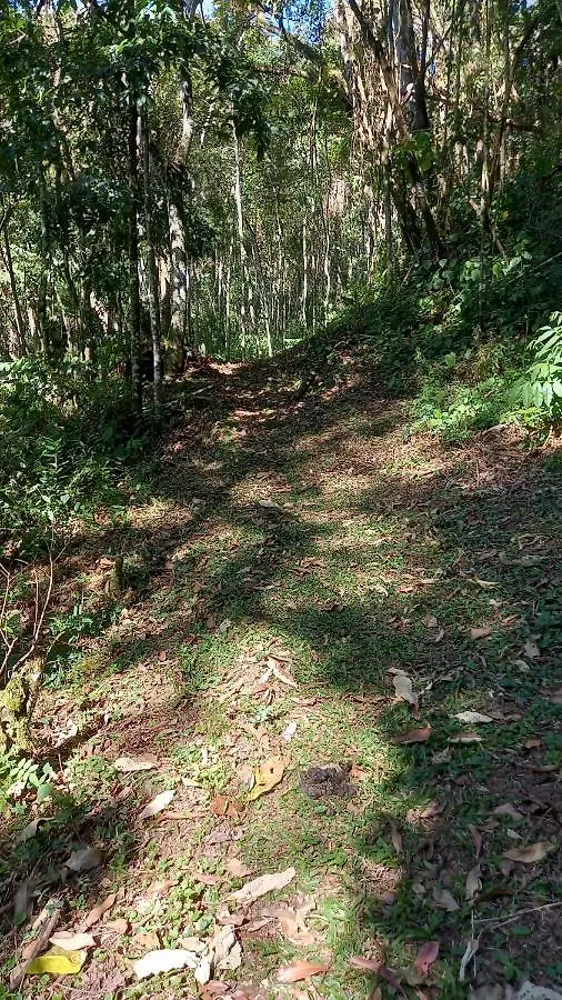 Chale Doce Beija-Flor Villa Campos do Jordao 0*,