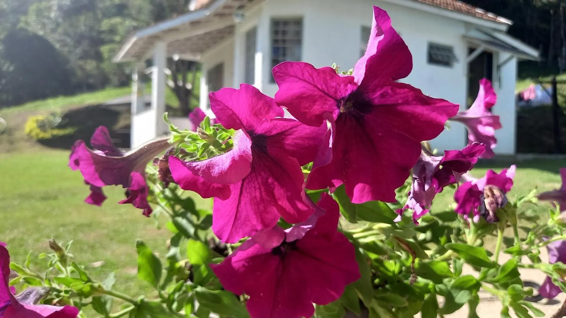 Chale Doce Beija-Flor Villa Campos do Jordao Brazil