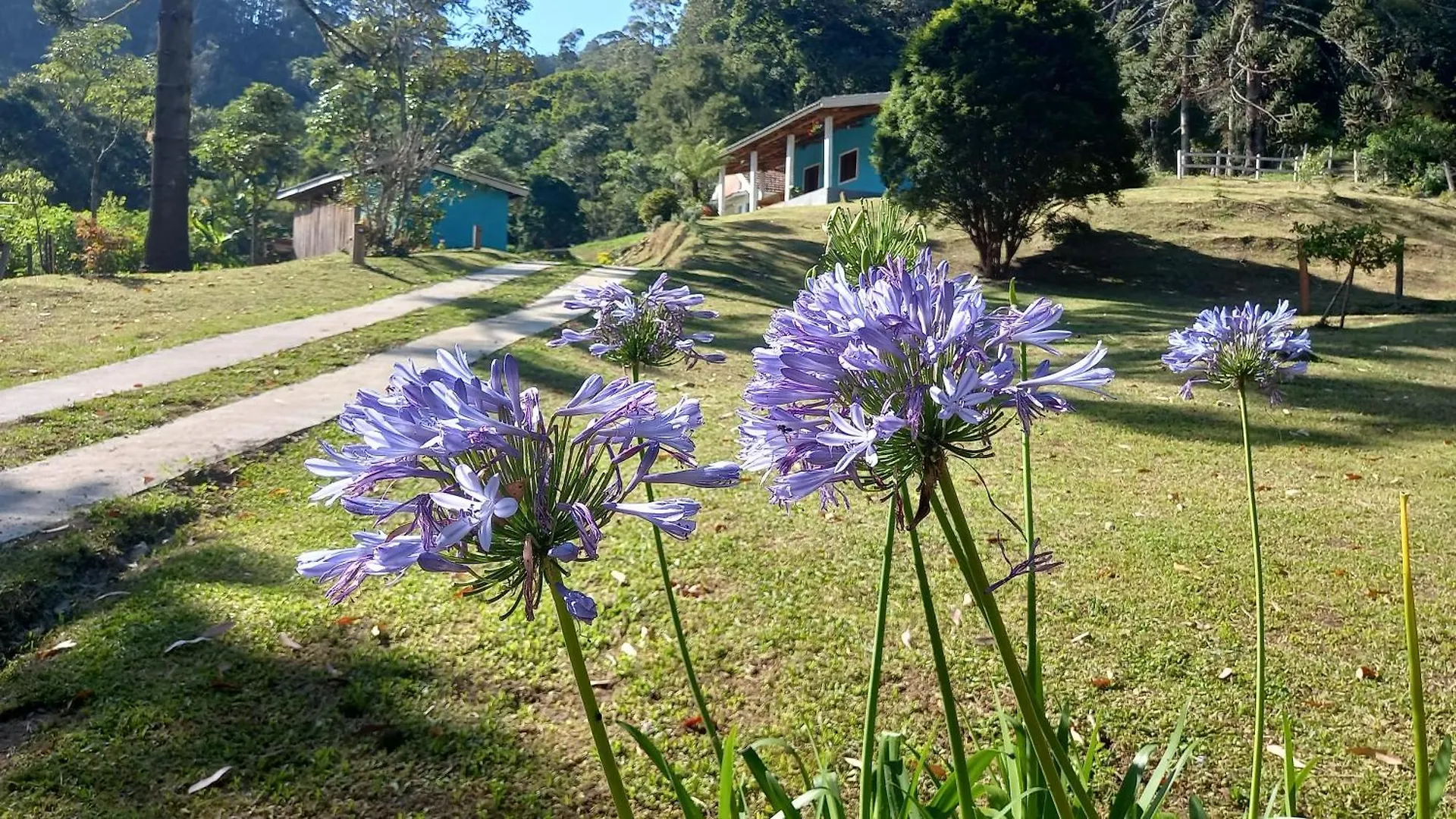 Chale Doce Beija-Flor Villa Campos do Jordao 0*,  Brazil